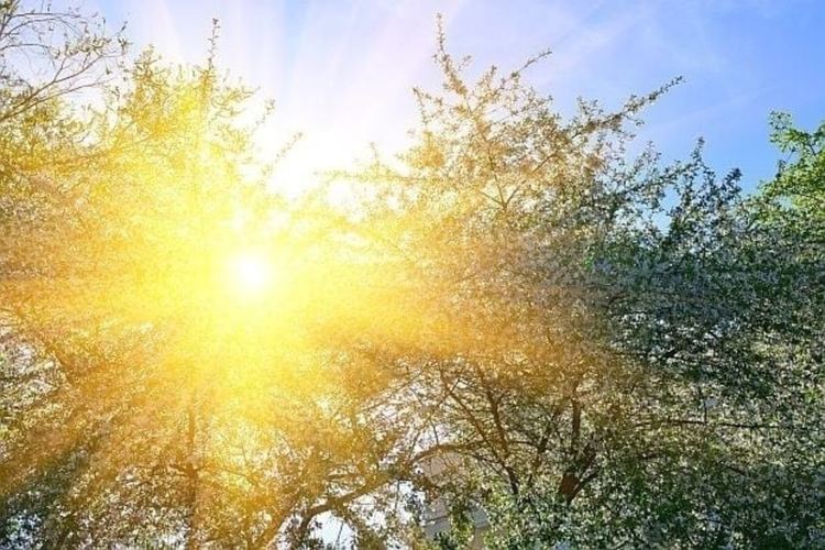 Слънчева и топла неделя, с малко облаци следобед