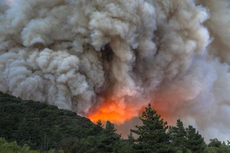Най-топлият септември в историята е знак за плашещи промени на Земята