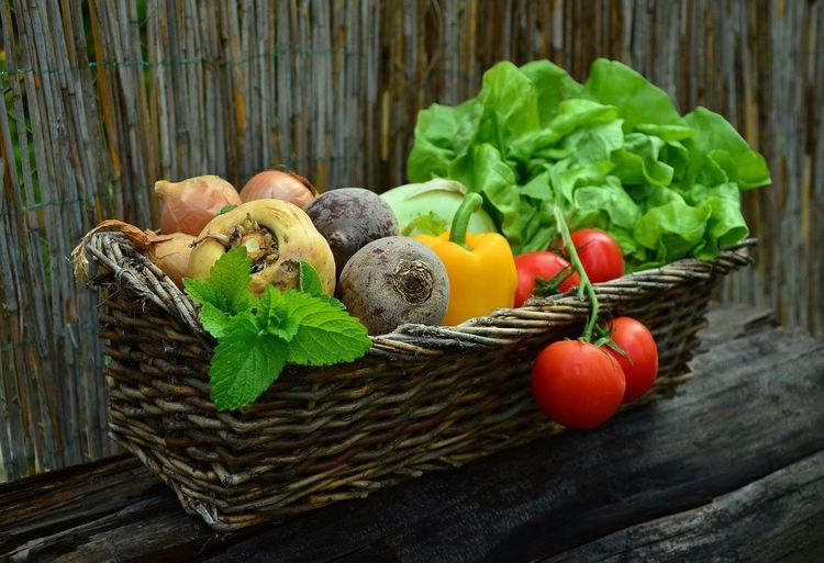 Сурвакари от Пернишко дариха хранителни продукти на нуждаещи се хора
