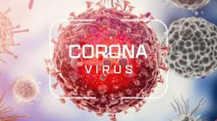 10 са починалите с COVID-19 в област Пловдив през изминалите почивни дни