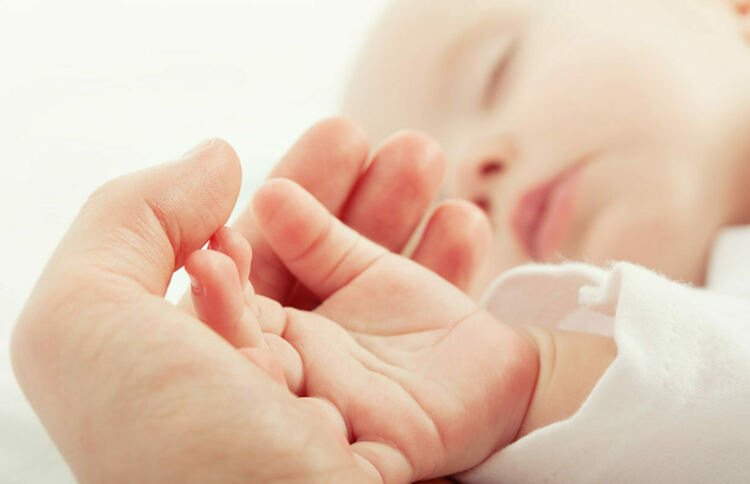 На 1 юни изтича срокът за подаване на документи за ин витро и ин виво