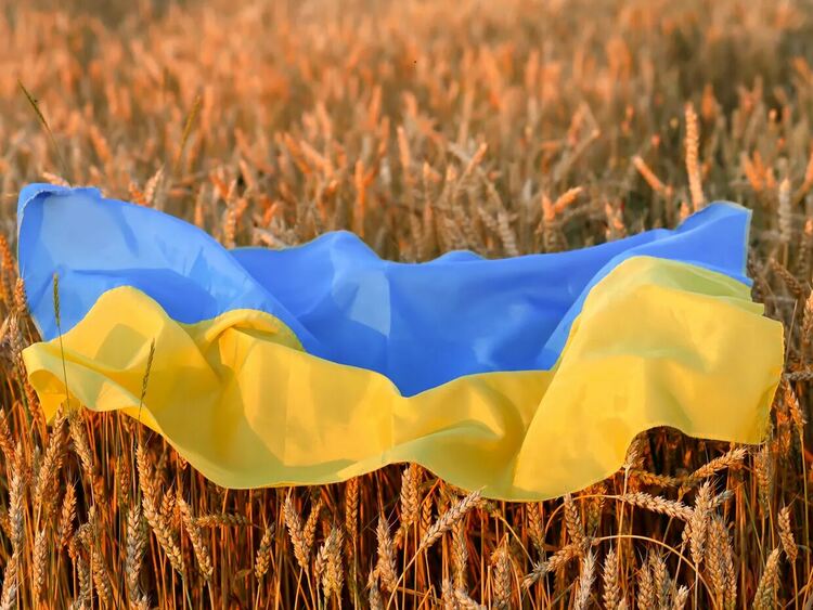 Борел: Блокирането на украинското зърно е военно престъпление