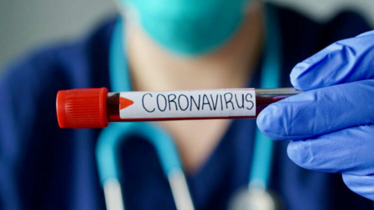 538 нови случая на коронавирус за денонощие в страната, 6 от тях са в Смолянска област
