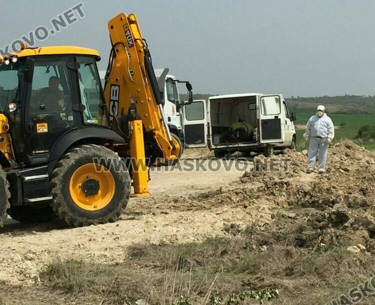 Загробват птиците от заразената ферма в Криво поле и изтеглят яйцата им от пазара