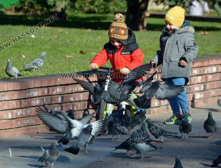 Слънчево и с температура до 14 градуса в четвъртък