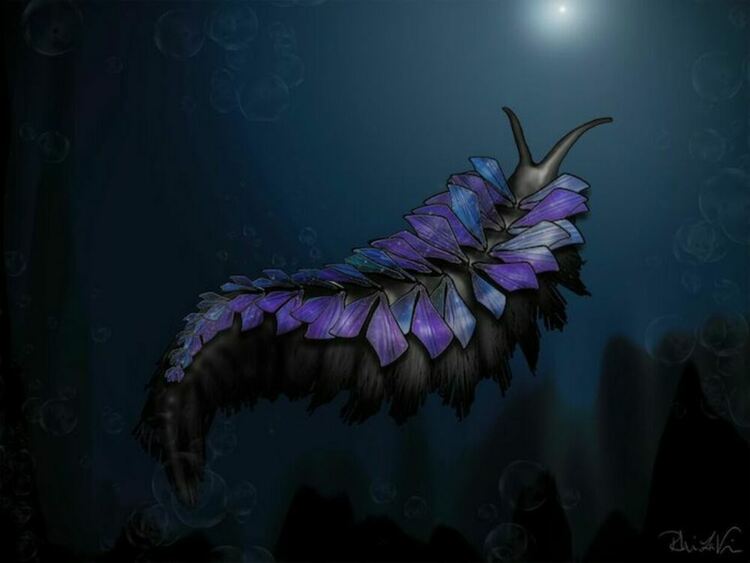 Кръстиха новооткрит червей на 500 милиона години на гигантските Шай-Хулуд от "Дюн"