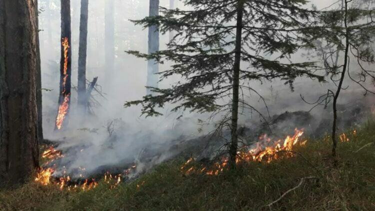 Късо съединение предизвика пожар в Смолян, огънят край Върбина е загасен