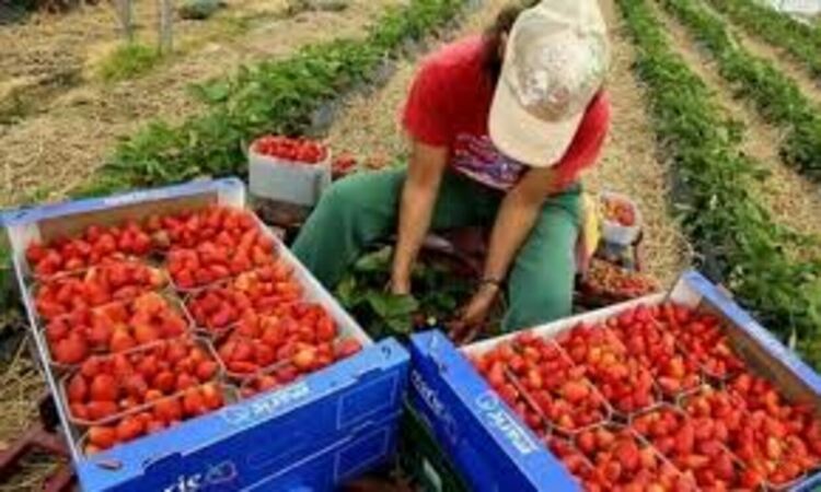 Зачестяват измамите, свързани с високоплатена работа в Швеция и Канада