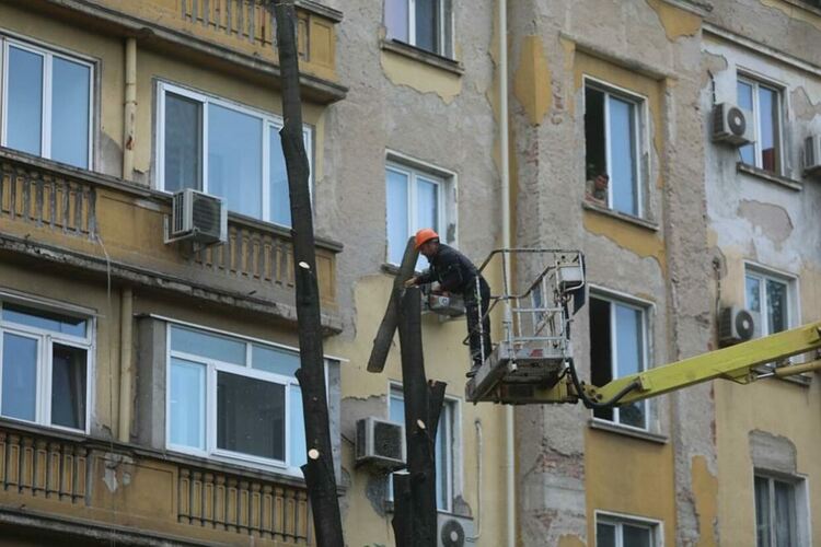 Започна изсичане на дърветата в София, секачите се охраняват от полиция