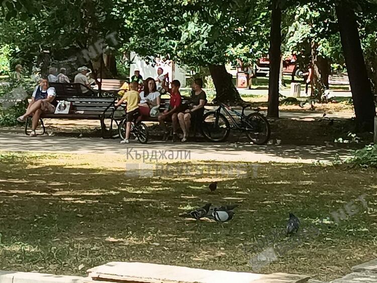 Слънчево и тихо време днес в Кърджали
