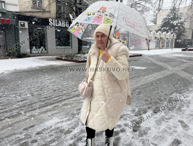 Четвърти, но последен снежен ден в Хасковско