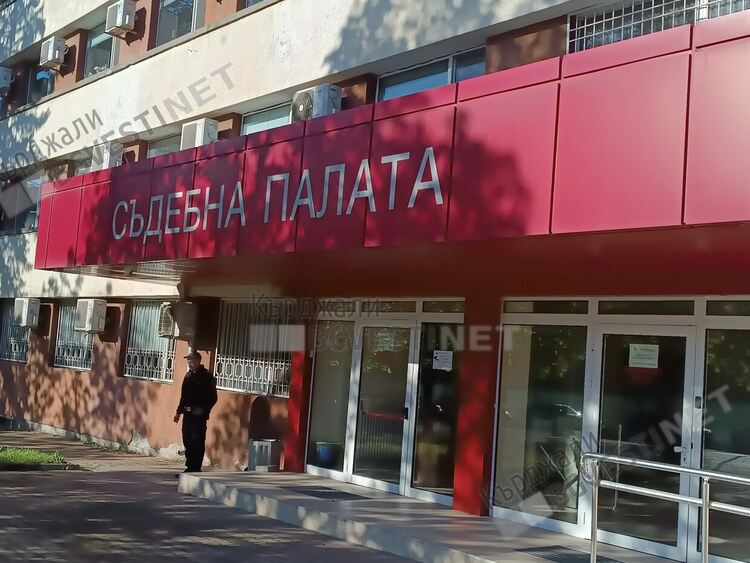 Община Кърджали бе осъдена за пореден път от ухапан от безстопанствено куче, даже не праща адвокат на делото