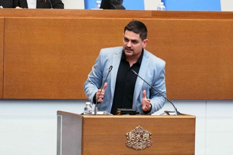 Безмозъчна главо, пултът не работи! Петъчни сценки от парламента
