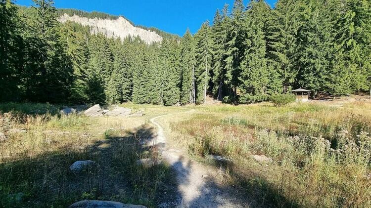 Проверка не установи човешка намеса в района на Смолянските езера